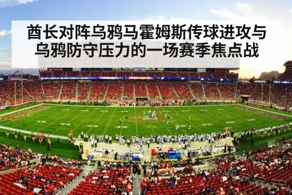 NFL stadium crowd